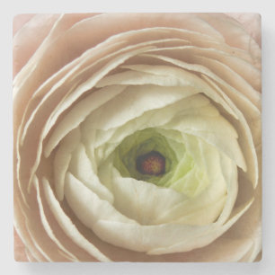 Ranunculus-Blume Steinuntersetzer