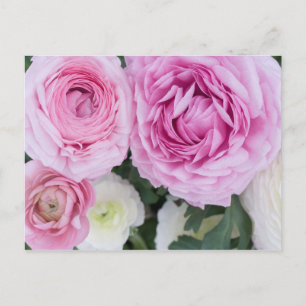 Ranunculus Postcard Postkarte