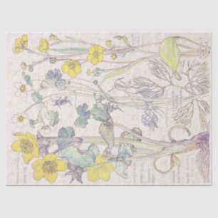 Ranunculus-Wildblume-Blumen-Seidenpapier Seidenpapier