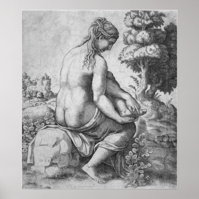 Raphael - die Venus entfernt eine Fähre von ihrem  Poster (Vorne)