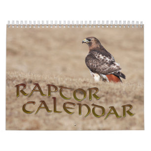 Rapid Calendar Kalender