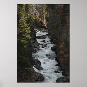 Rapids herein BC Poster