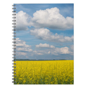 Rapsfeld & Wolken Notizblock