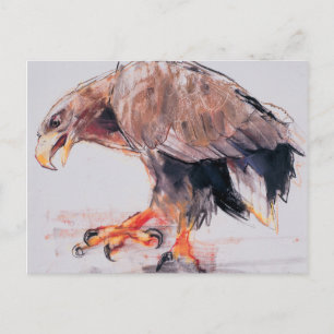 Raptor 2001 postkarte