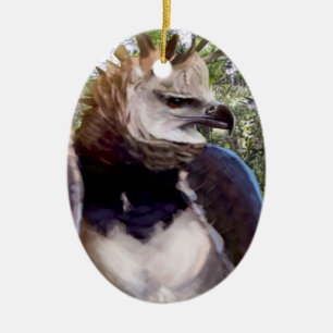 ‚Raptor‘ Keramik Ornament