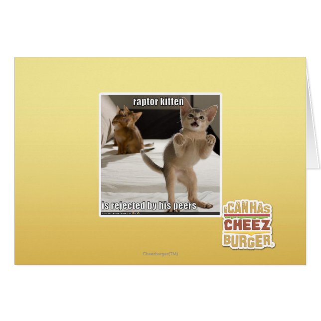 Raptor Kitten (Vorderseite (Horizontal))