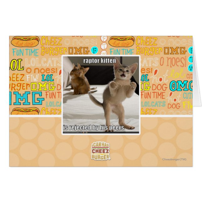 Raptor Kitten (Vorderseite (Horizontal))