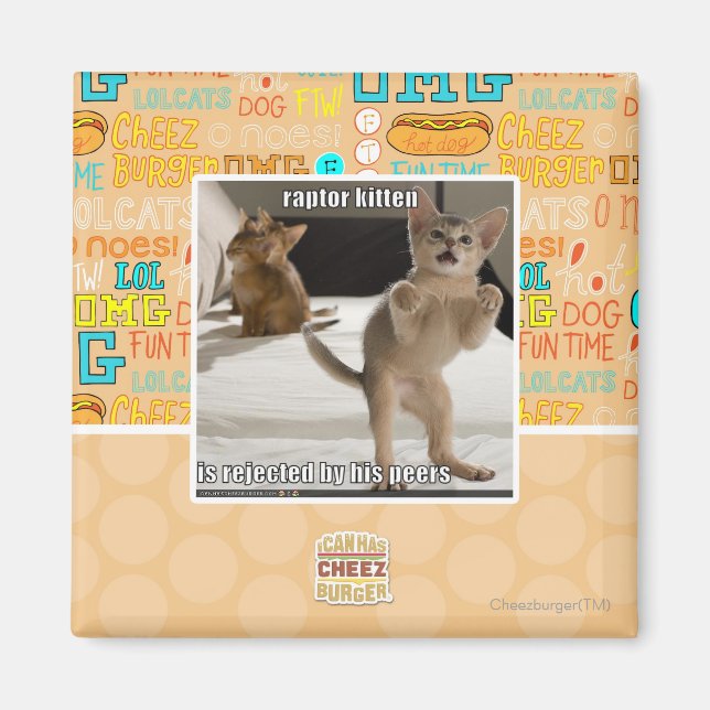 Raptor Kitten Magnet (Vorne)