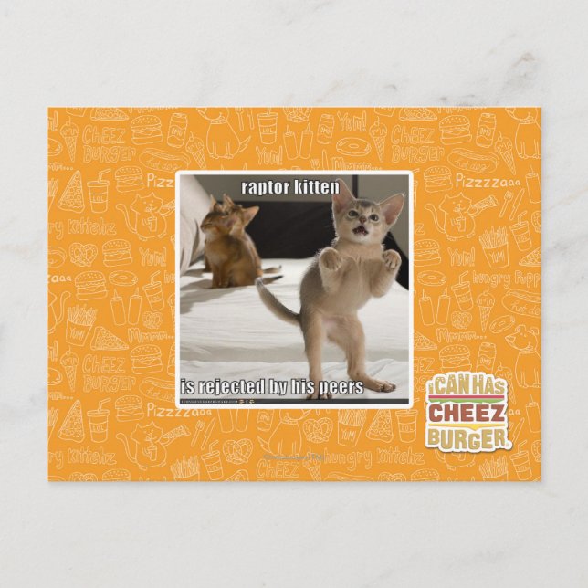 Raptor Kitten Postkarte (Vorderseite)