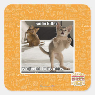 Raptor Kitten Quadratischer Aufkleber