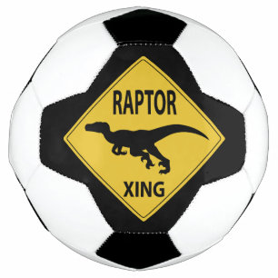 Raptor Xing Fußball