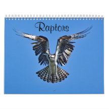 Raptoren