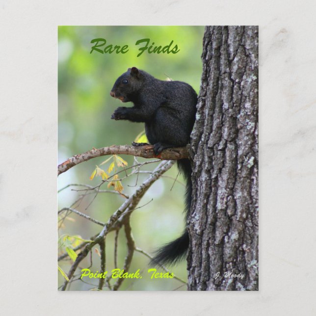 Rare Finds Postkarte (Vorderseite)