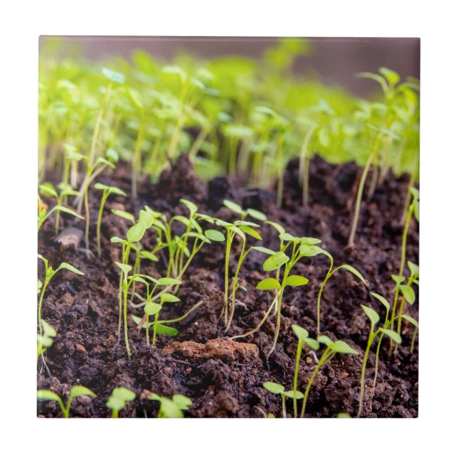 Rasen Fliese (Vorderseite)