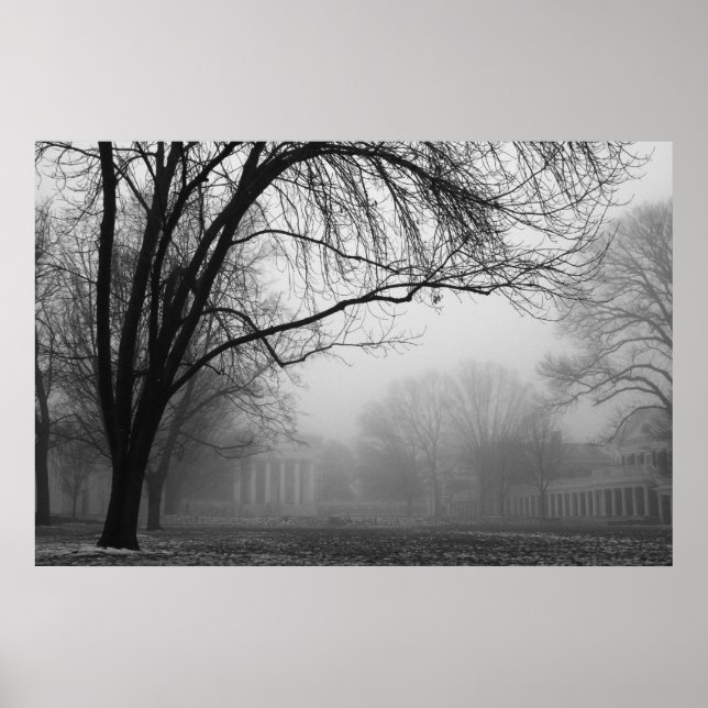 Rasen im Nebel Poster (Vorne)