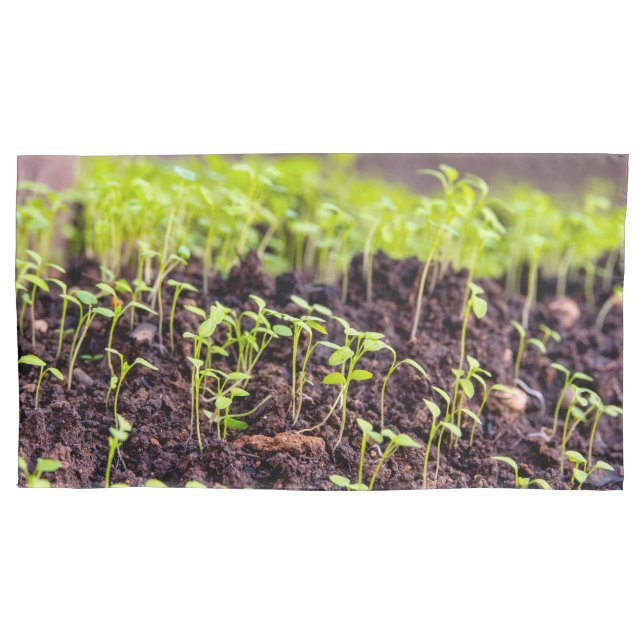 Rasen Kissenbezug (Vorderseite)