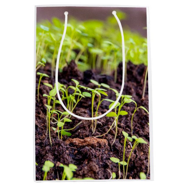 Rasen Mittlere Geschenktüte (Vorderseite)