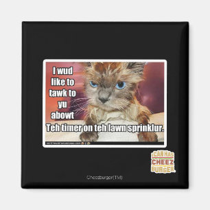 Rasen Sprinklur Timer Magnet