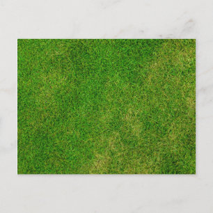 Rasenfläche Postkarte