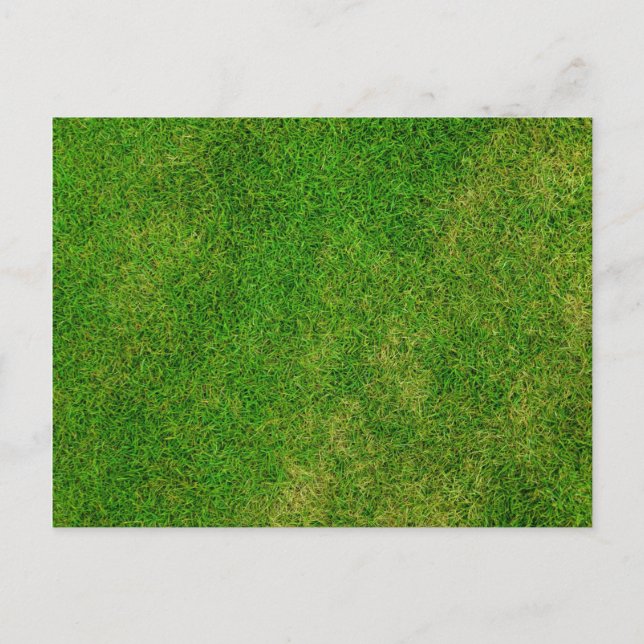 Rasenfläche Postkarte (Vorderseite)
