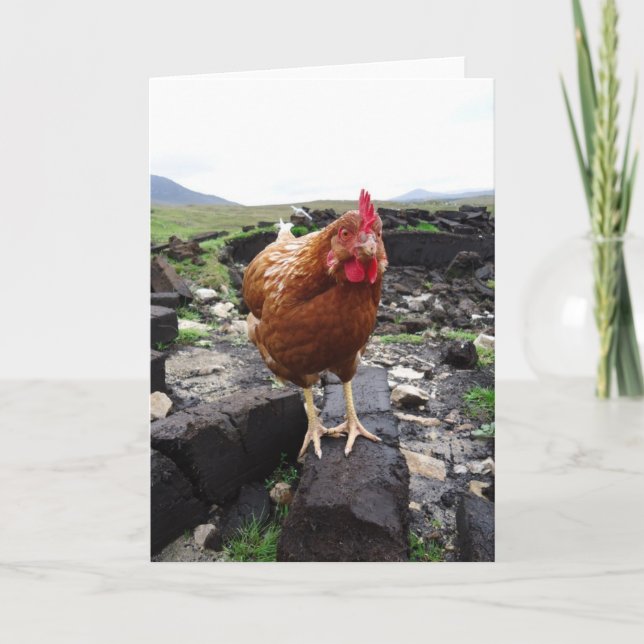 Rasenhuhn, Irland Karte (Vorderseite)