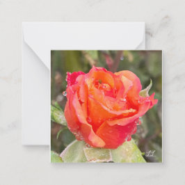 Rasiergruppen auf Rose Mitteilungskarte