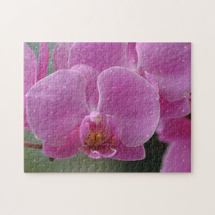 Rasierropfen auf dem Orchideenrätsel Puzzle
