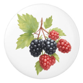 Raspberry BlackBerry Fruit Illustration Wasserfarb Keramikknauf