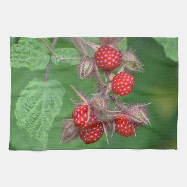 Raspberry Dish Handtuch (Horizontal)