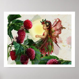 Raspberry Fairy Poster