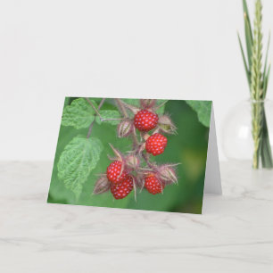 Raspberry Notecard Karte