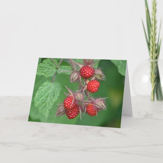 Raspberry Notecard Karte (Vorderseite)