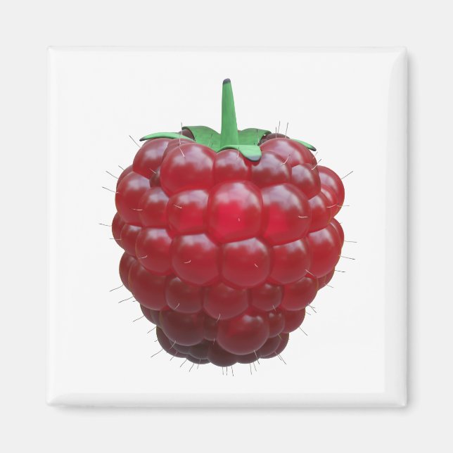 Raspiberry Magnet (Vorne)
