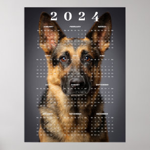 Rassehunde Deutsche Schäferhund Foto 2024 Kalender Poster