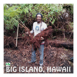 RASTA BAUER MIT HAPUU FERN POSTER