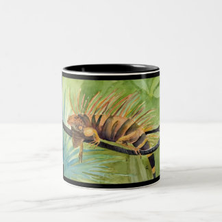 Rasta Leguan-Tasse Zweifarbige Tasse