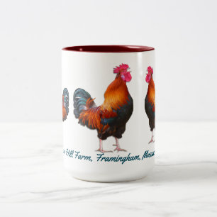 Raster Farm mit benutzerdefiniertem Aquamarinen Te Zweifarbige Tasse