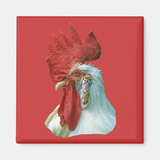 Rasterbild Magnet