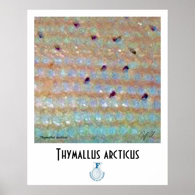 Rasur-FFF-Poster Poster (Vorne)