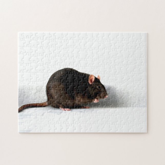Rat 11x14 252pc jpcna puzzle (Horizontal)
