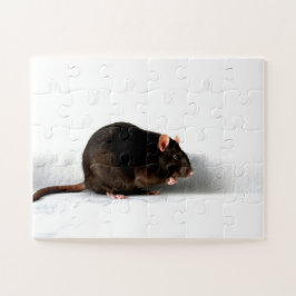 Rat 11x14 30pc jpcna puzzle