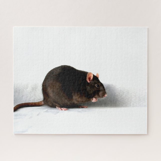 Rat 16x20 520pc jpcna puzzle (Horizontal)