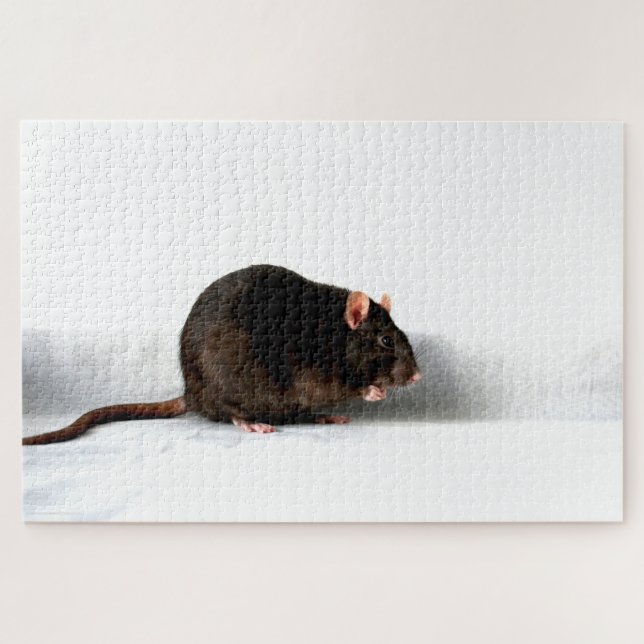 Rat 20x30 1014pc jpa puzzle (Horizontal)