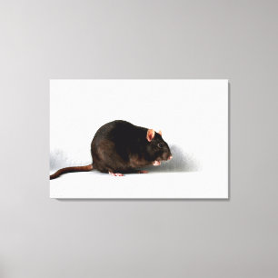 Rat 36x24 (90x60cm) Waccna Leinwanddruck