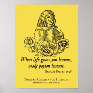 Rat Alter S (t) Poster