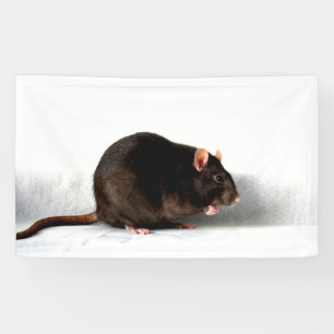 Rat Banner