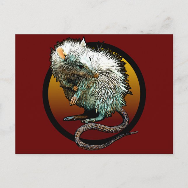 Rat Boi Postkarte (Vorderseite)