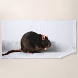 Rat btcna strandtuch