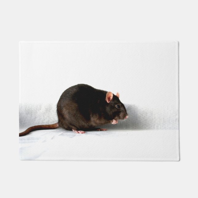 Rat dma fußmatte (Vorderseite)