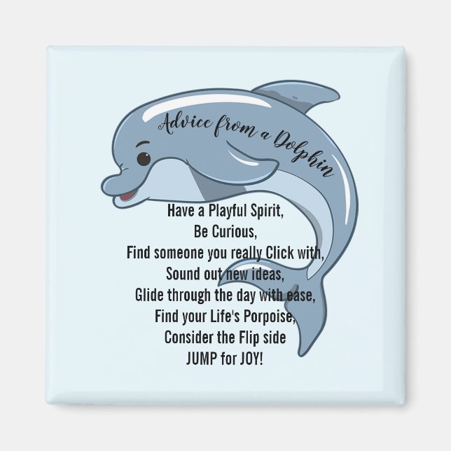 Rat eines Dolphin Magnet (Vorne)